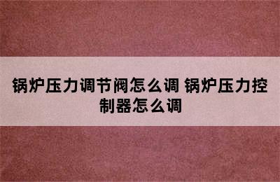 锅炉压力调节阀怎么调 锅炉压力控制器怎么调